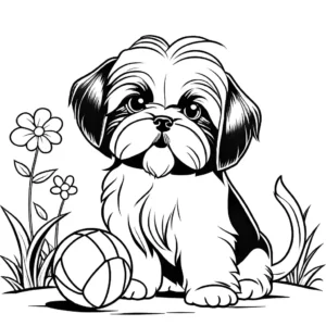 100 Kolorowanki Z Psem Rasy Shih Tzu For Free Magia Kolorowanek 100-kolorowanki-z-psem-rasy-shih-tzu-for-free-magia-kolorowanek